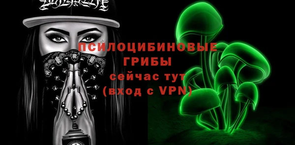 герыч Новозыбков