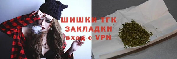 стаф Новокубанск