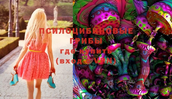 герыч Новозыбков