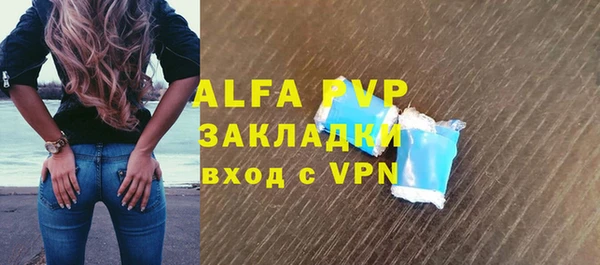 ГАЛЛЮЦИНОГЕННЫЕ ГРИБЫ Тайга