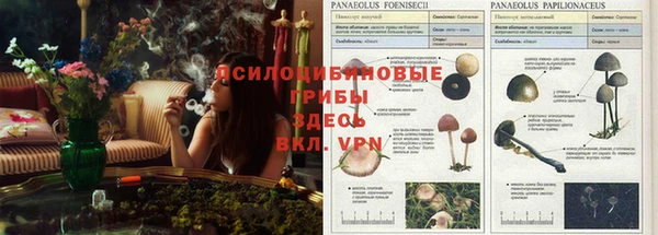 СК Нея