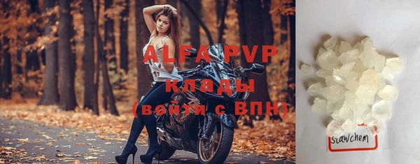 стаф Новокубанск
